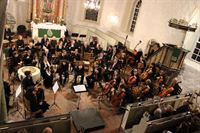 IMG_1008 IMG_1008