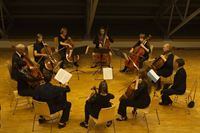 _MG_4461 _MG_4461