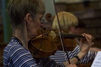 IMG_6118 IMG_6118