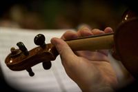 IMG_6120 IMG_6120