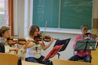 Bratschenprobe Bratschenprobe