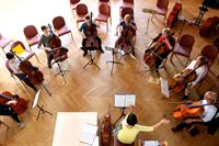 Celloprobe Celloprobe