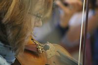 IMG_0518 IMG_0518